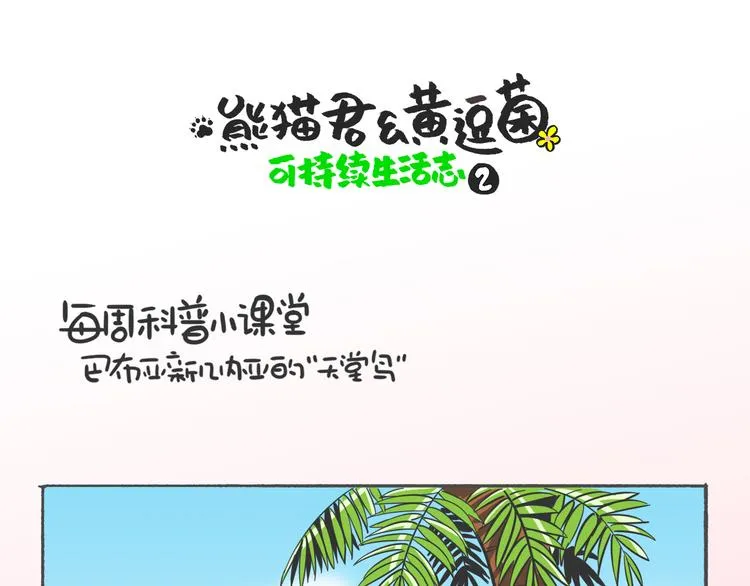 熊猫君录播漫画,科普番外——“天堂鸟”在哪里1图