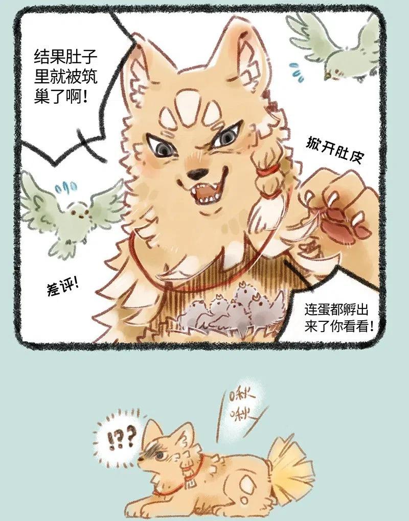 080 刍狗登场3