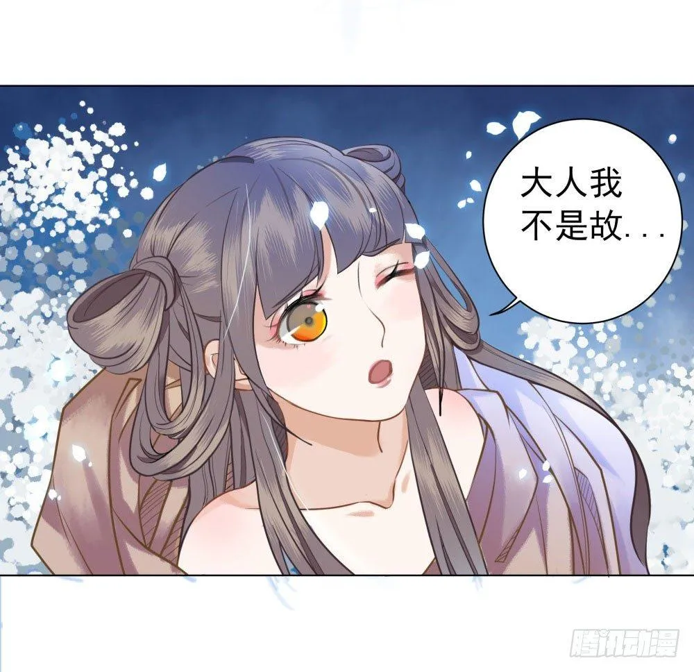 阿凰的绝版收藏1