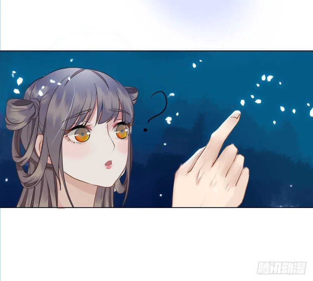 阿凰的绝版收藏3