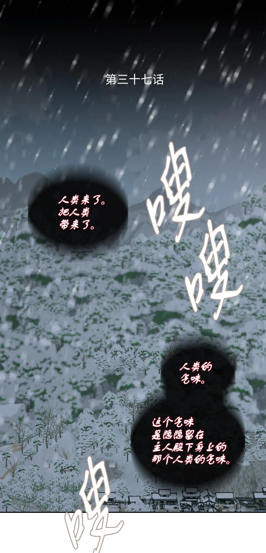 37 喜欢1