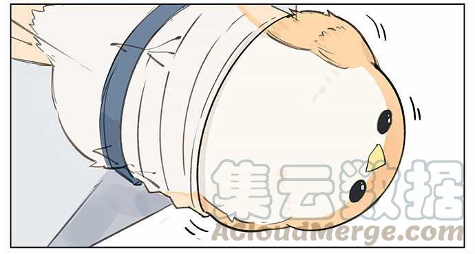 南方的鸟和北方的鸟在线看漫画,麻雀的鸟巢。5图