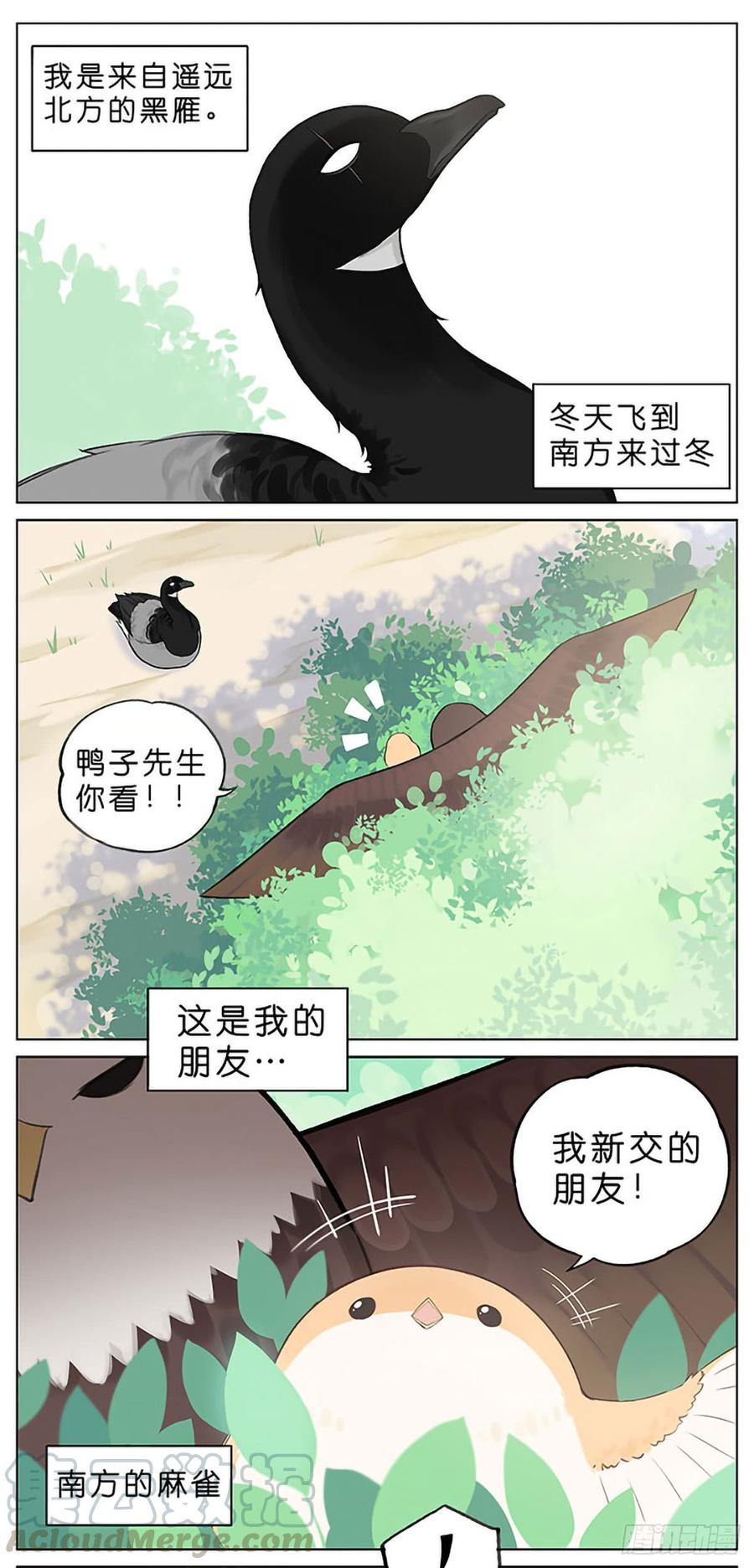 南方的鸟和北方的鸟在线看漫画,春天的风筝。1图