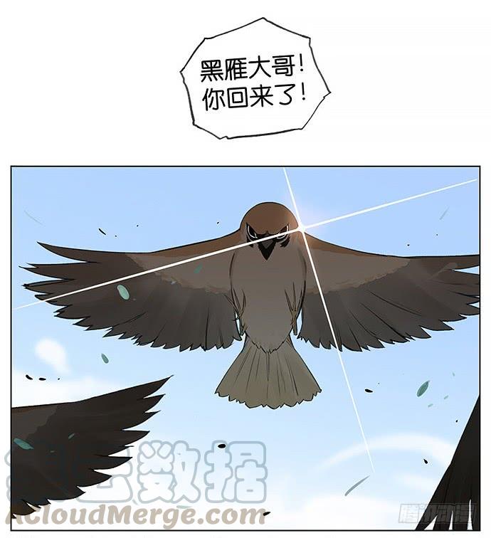 南方的鸟和北方的鸟在线看漫画,南方的麻雀和北方的麻雀。5图
