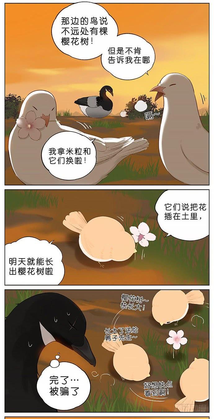 春天的鸟。1