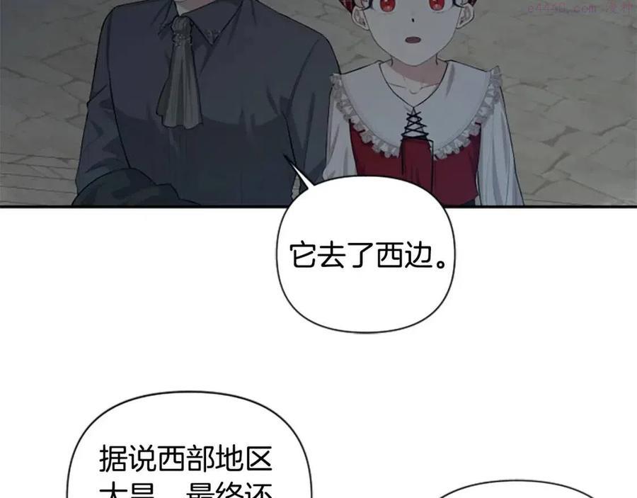 第45话 兔子该做的事4