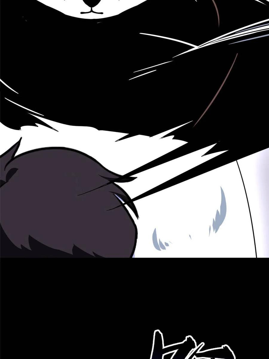 3202