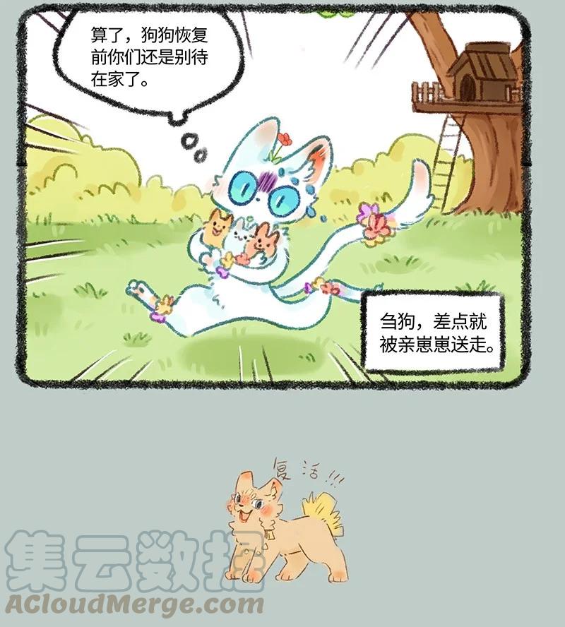 480 新晋奶爸上线3