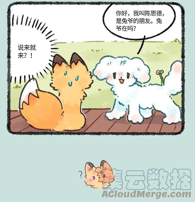 有兽焉~漫画,663 兔爷的贵狗4图