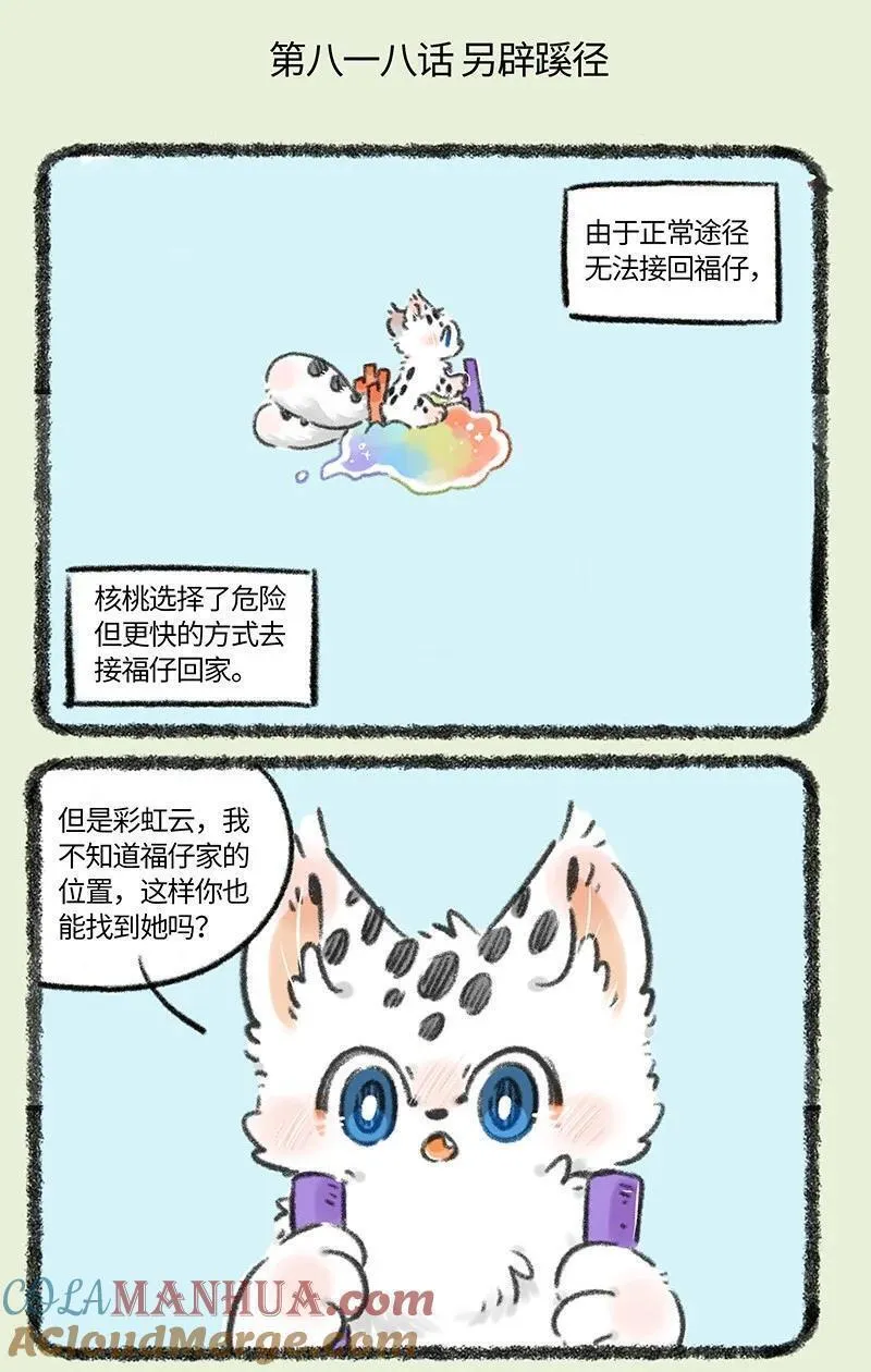 818 勇敢猫猫不怕困难1