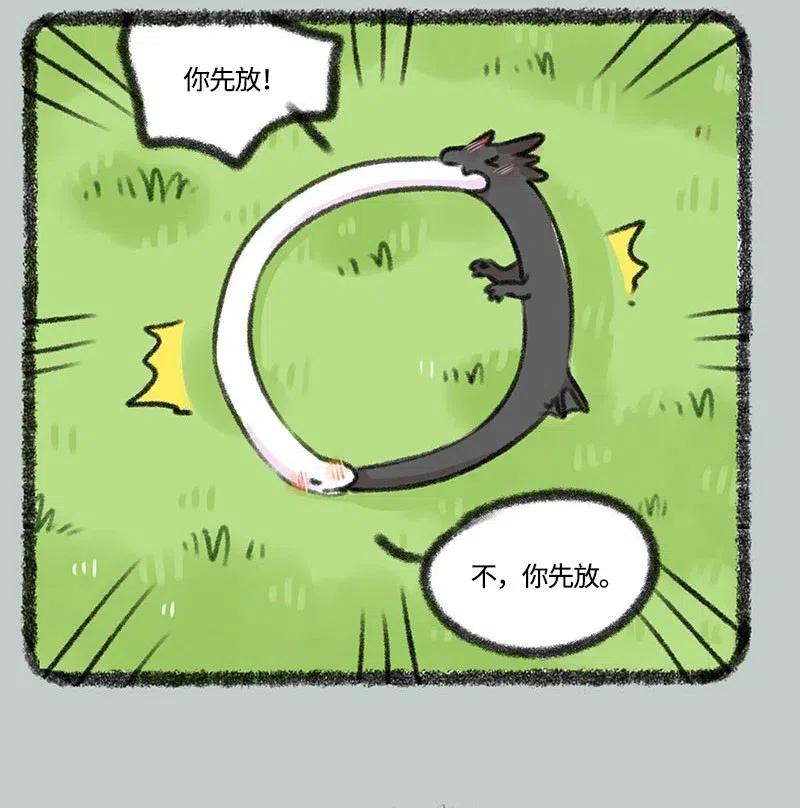 有兽焉~漫画,339 小水塘之争4图