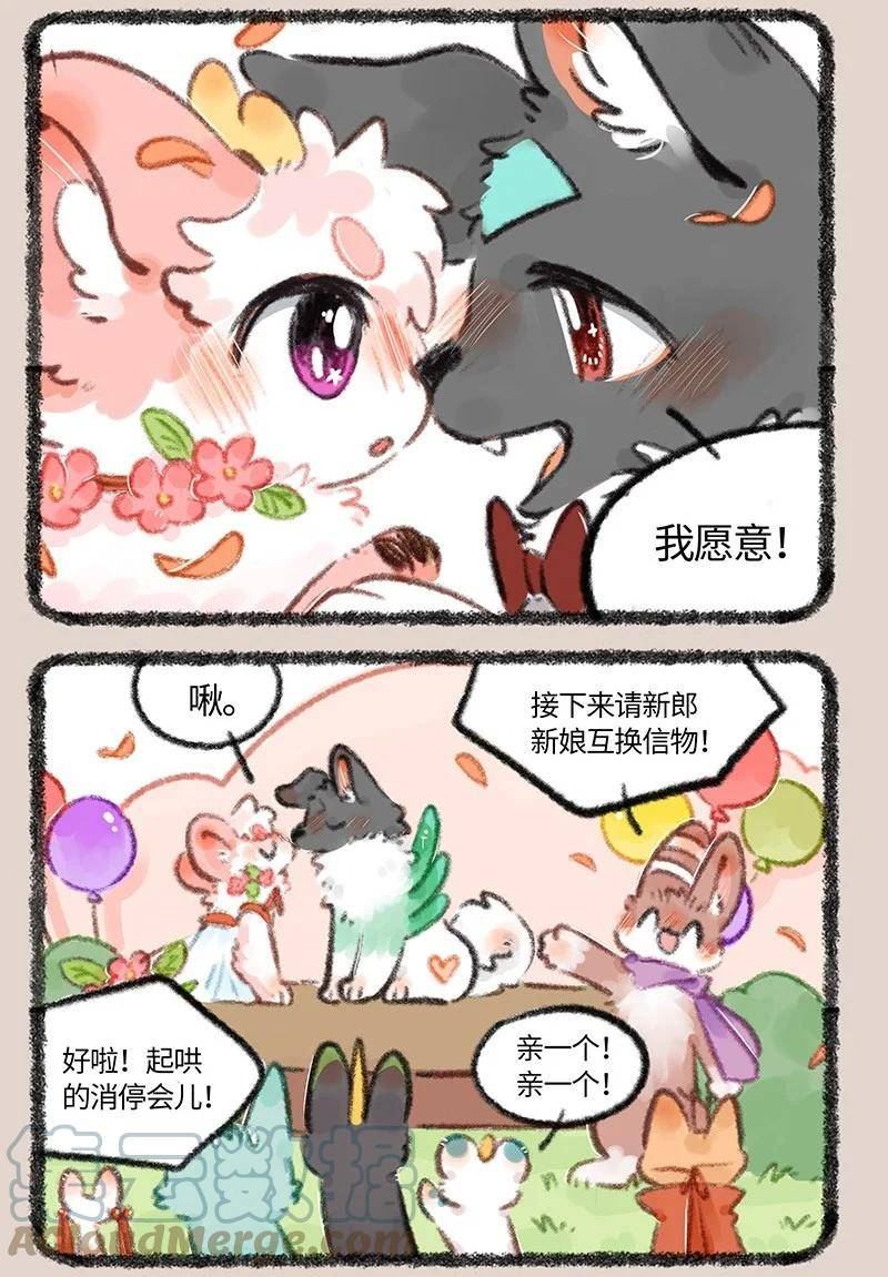 有兽焉~漫画,706 盛大的婚礼5图