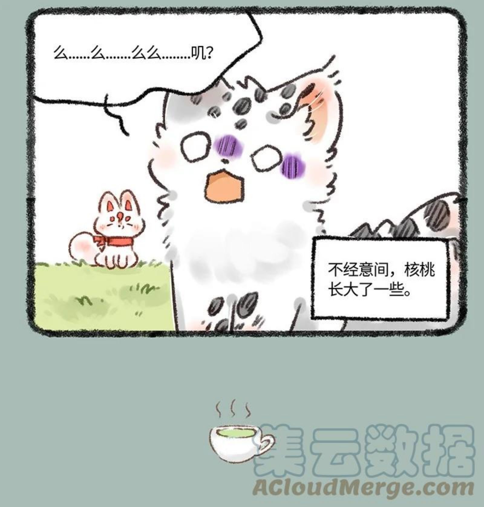 594 茶鸭自有茶鸭报3