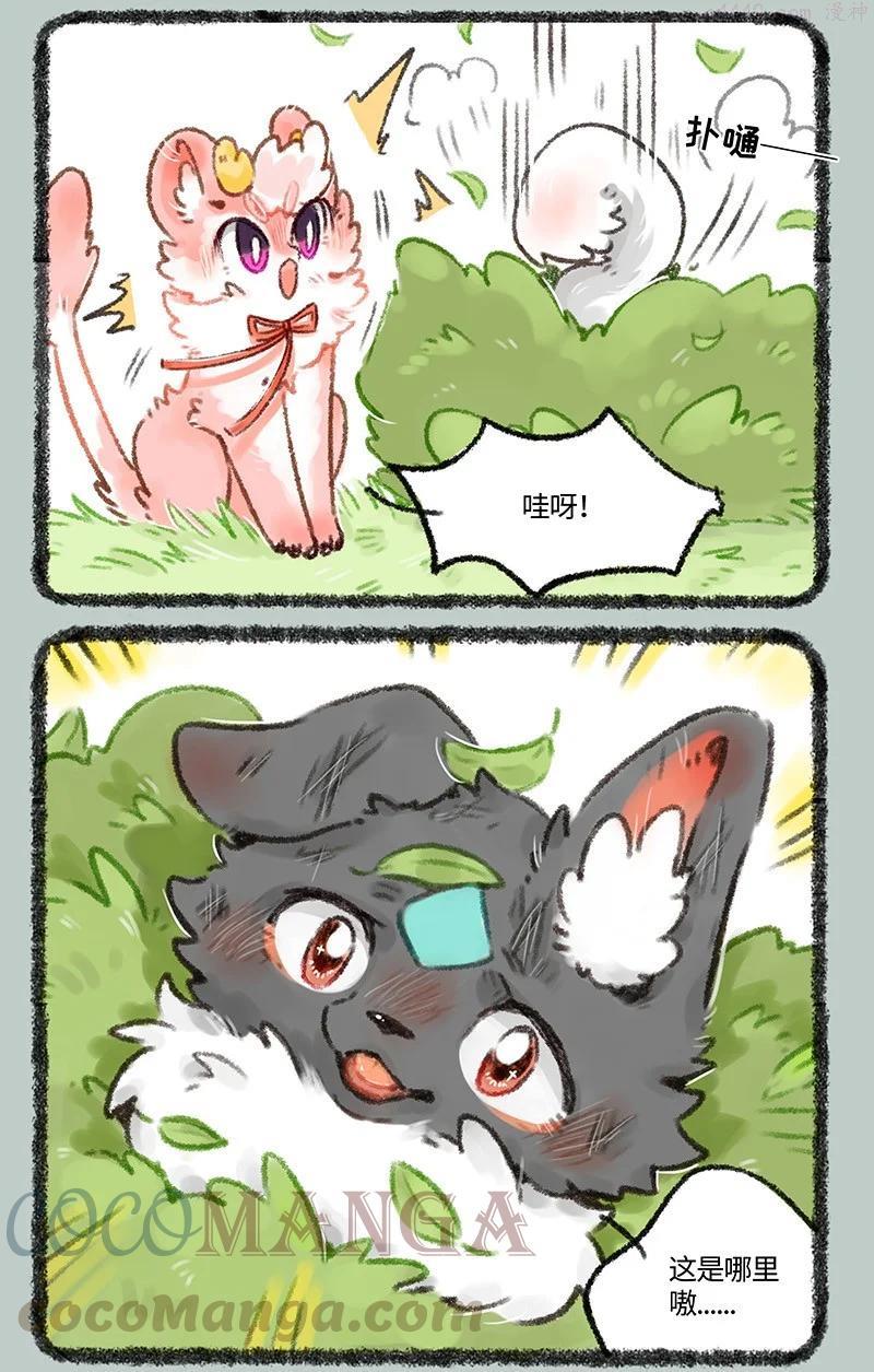 510 天降白犬2