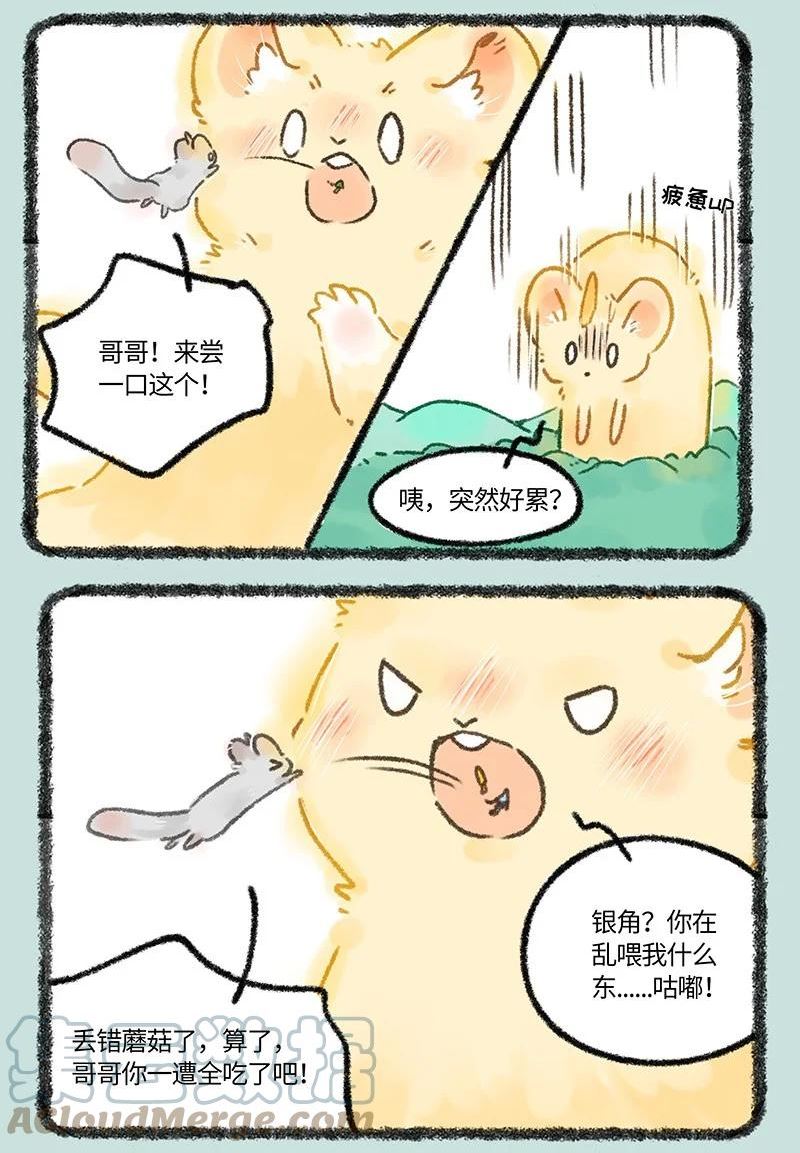 656 膨胀的金角4