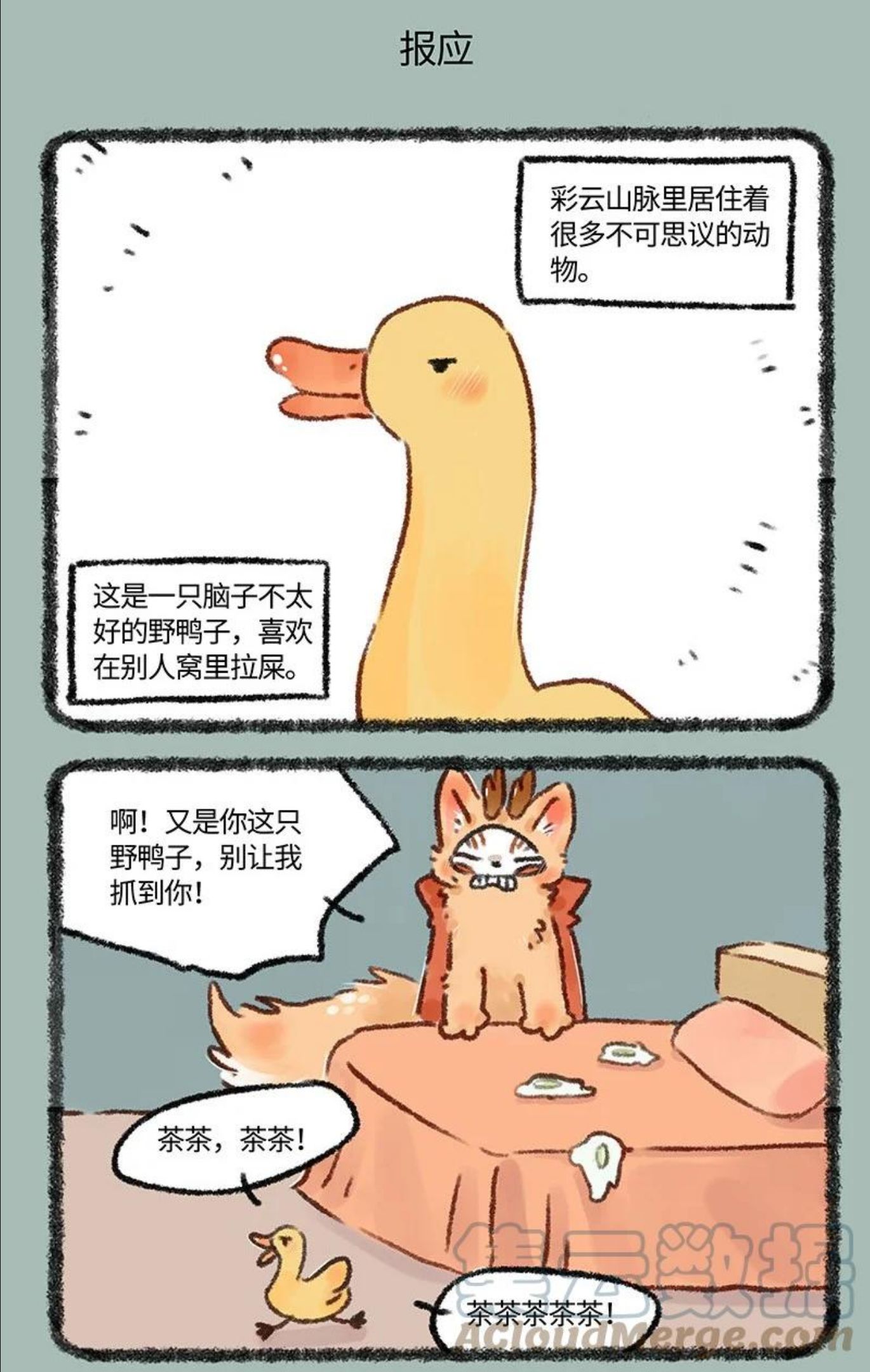 594 茶鸭自有茶鸭报4