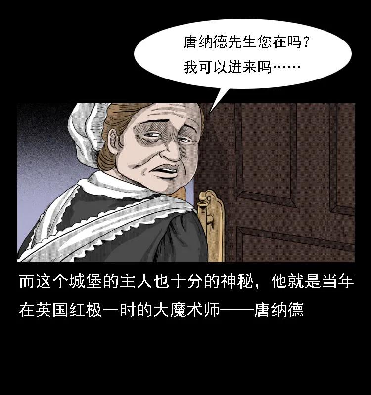 三老爷惊奇手札免费全集下拉式漫画,14 魔术师唐纳德4图