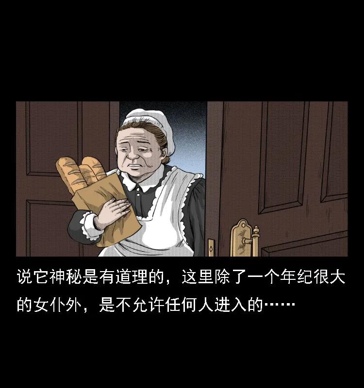 三老爷惊奇手札免费全集下拉式漫画,14 魔术师唐纳德3图