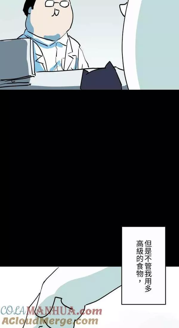 [第863话] 很瘦的猫4