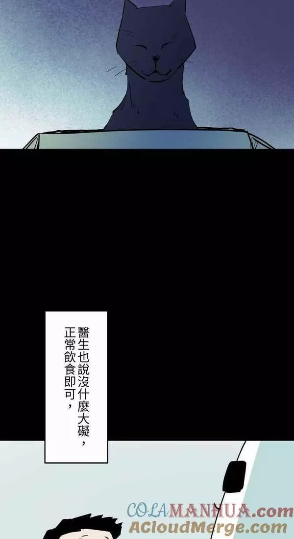 [第863话] 很瘦的猫3