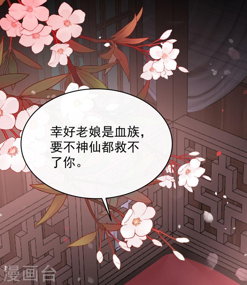 第65话 与你结契，永不分离2