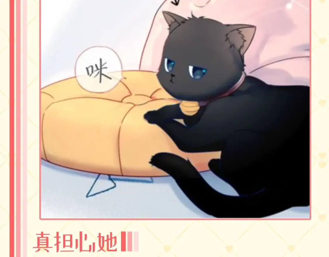 第40期 特别企划：猫猫仙贝的悠闲生活2