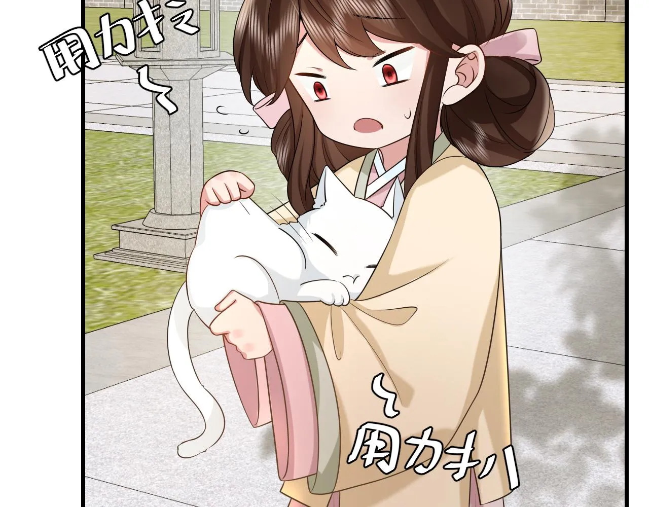 第127话 七七，你自己选3