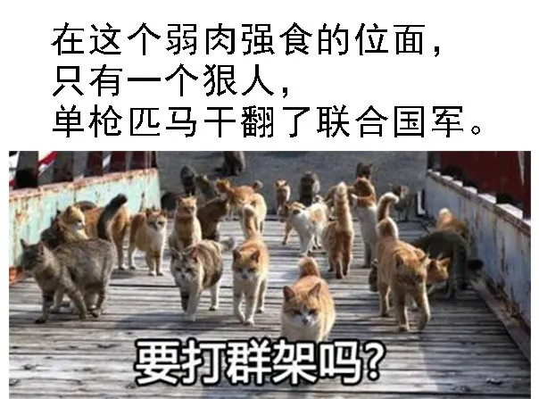 铁姬钢兵第四季樱花动漫漫画,国庆贺图—J20姬1图
