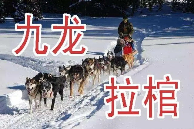 铁姬钢兵第二季55集全集漫画,周五六七连更4图