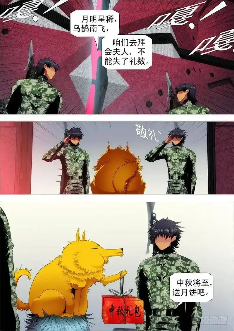铁姬钢兵漫画全集免费下拉式阅读漫画,血翼渡星河2图