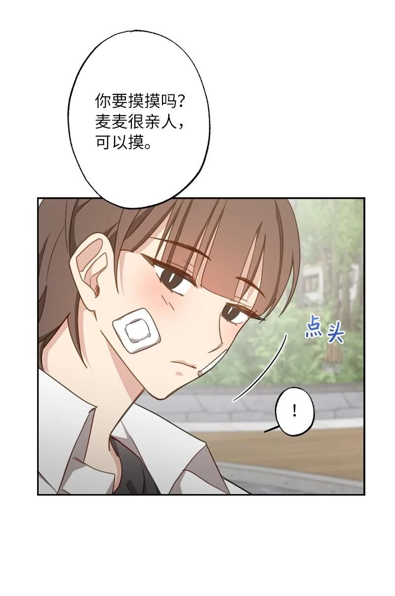 51 想要靠近一点4