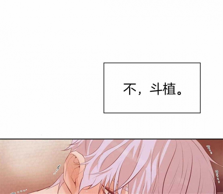 贝壳少年好看吗漫画,第96话3图