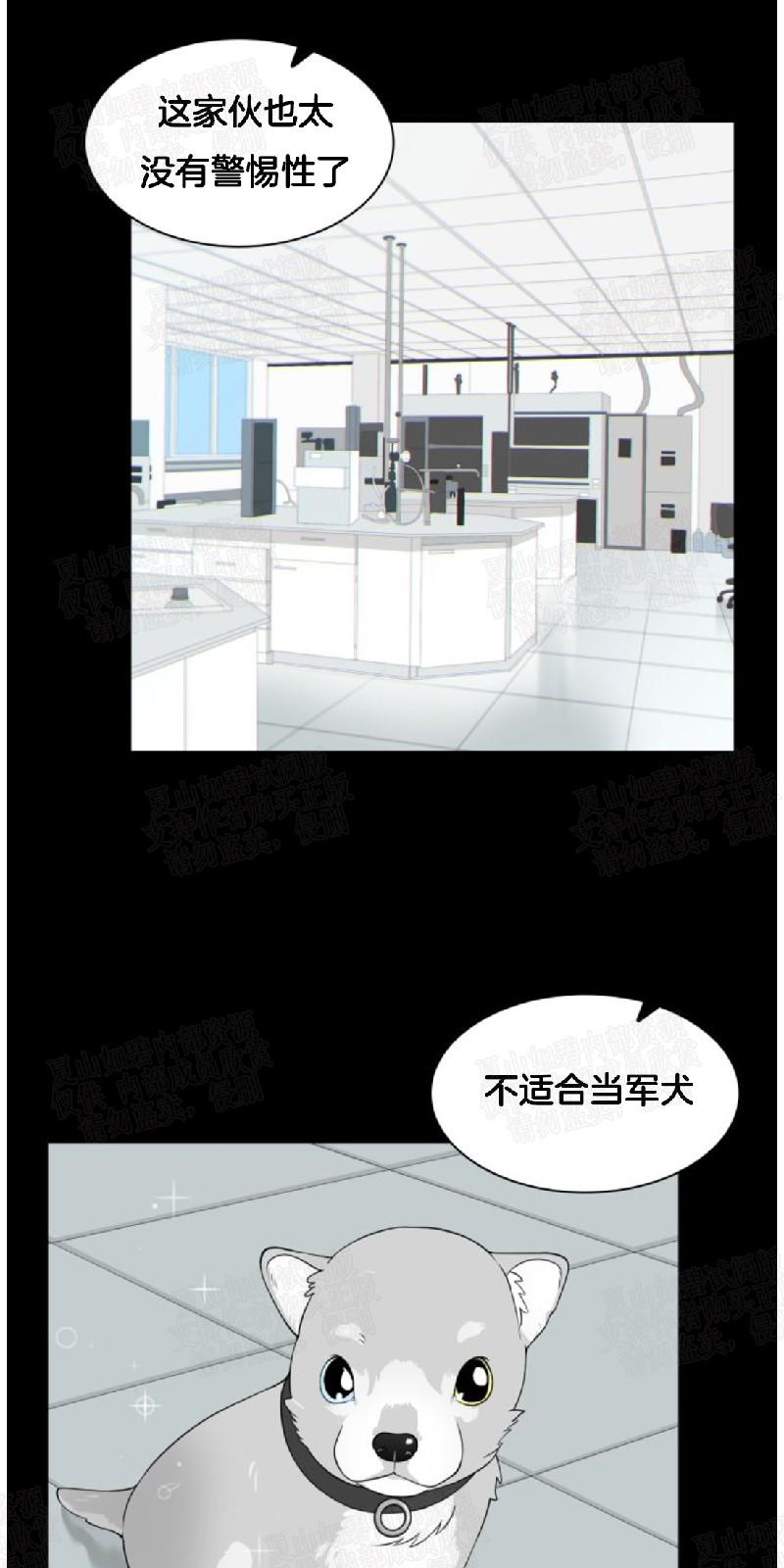 动物王国大探秘读后感漫画,第6话1图