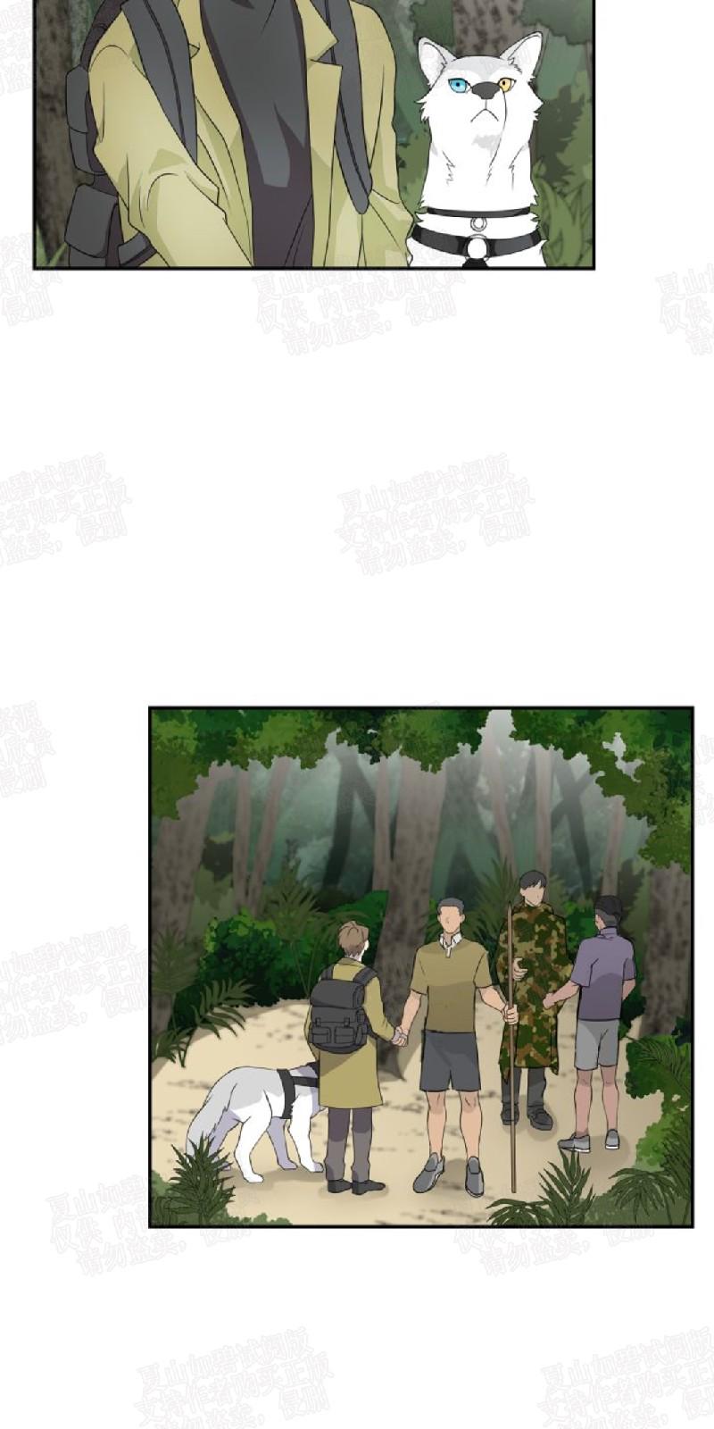 动物王国2023电影免费观看中文版漫画,第3话4图