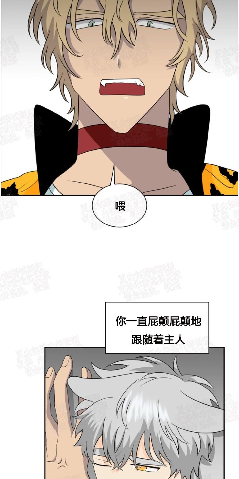 动物王国图片大全大图漫画,第16话4图