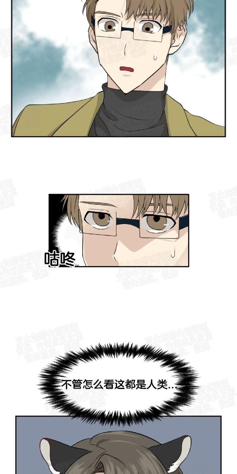 动物王国图片大全大图漫画,第8话4图
