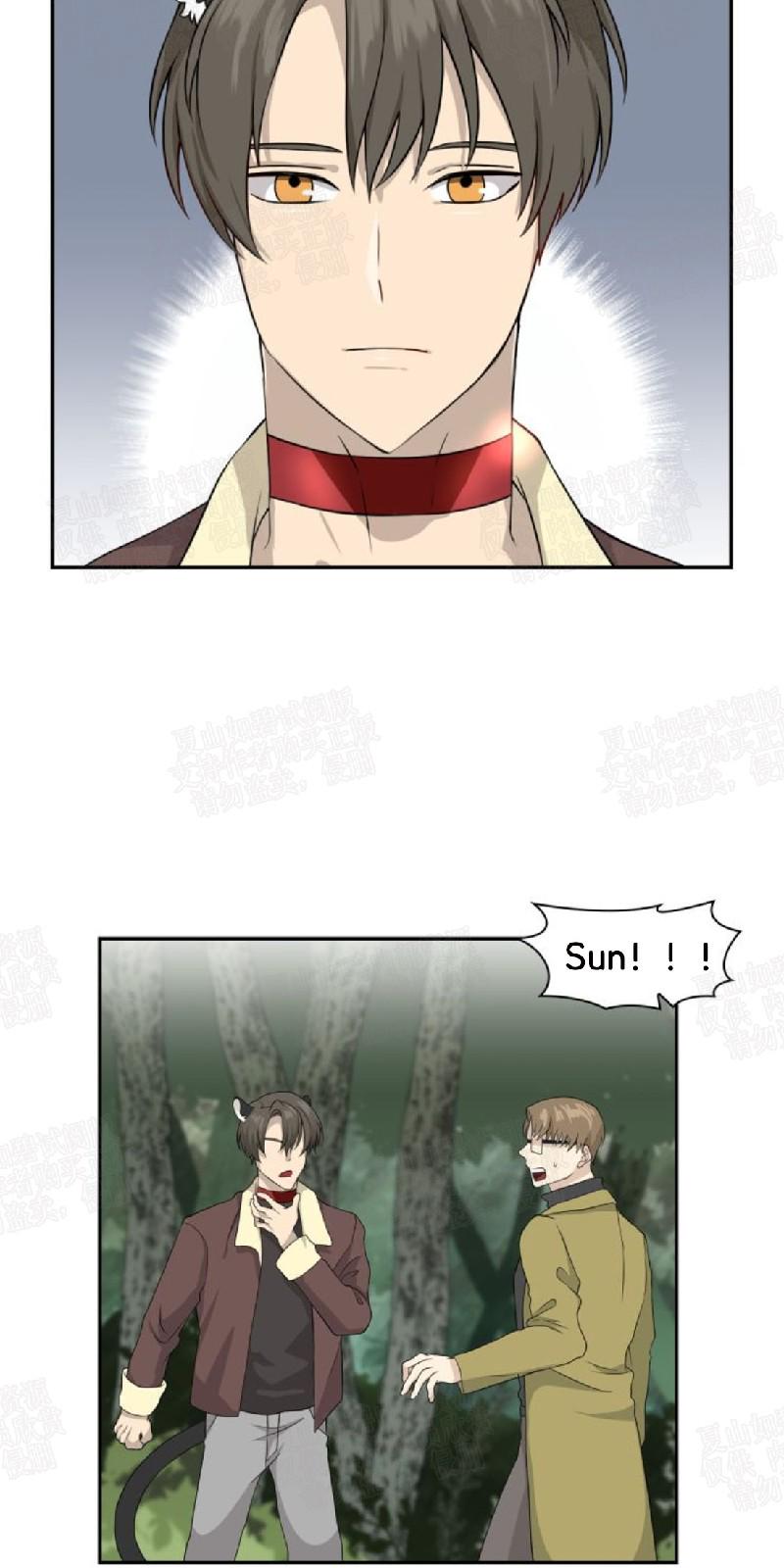 动物王国图片大全大图漫画,第8话5图
