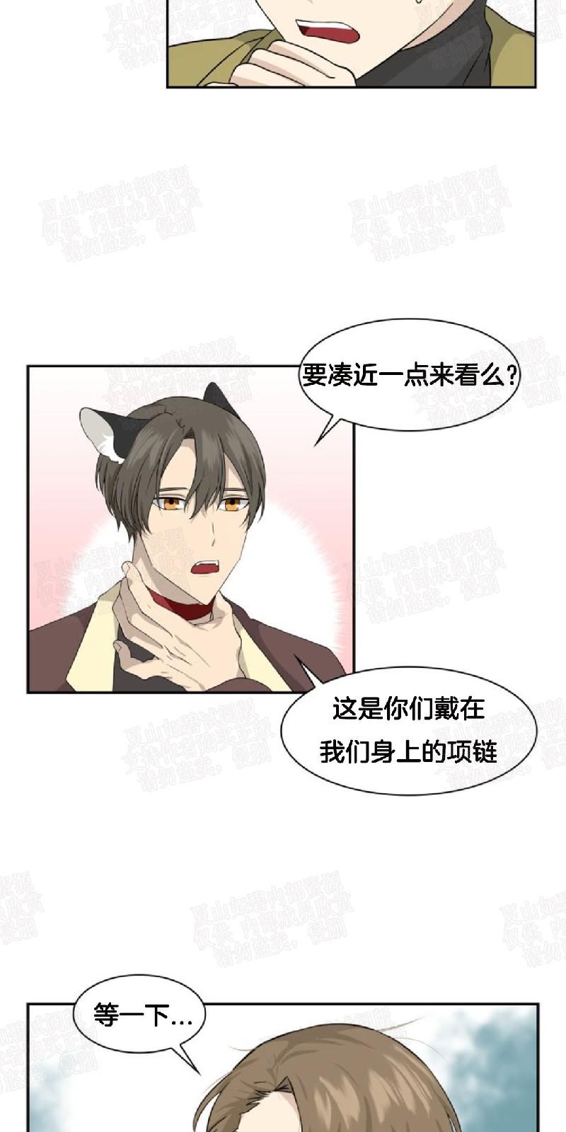 动物王国图片大全大图漫画,第8话3图