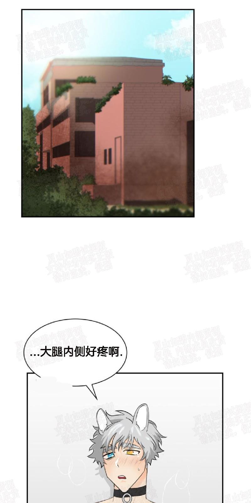 动物王国开派对三年级300字漫画,第11话1图