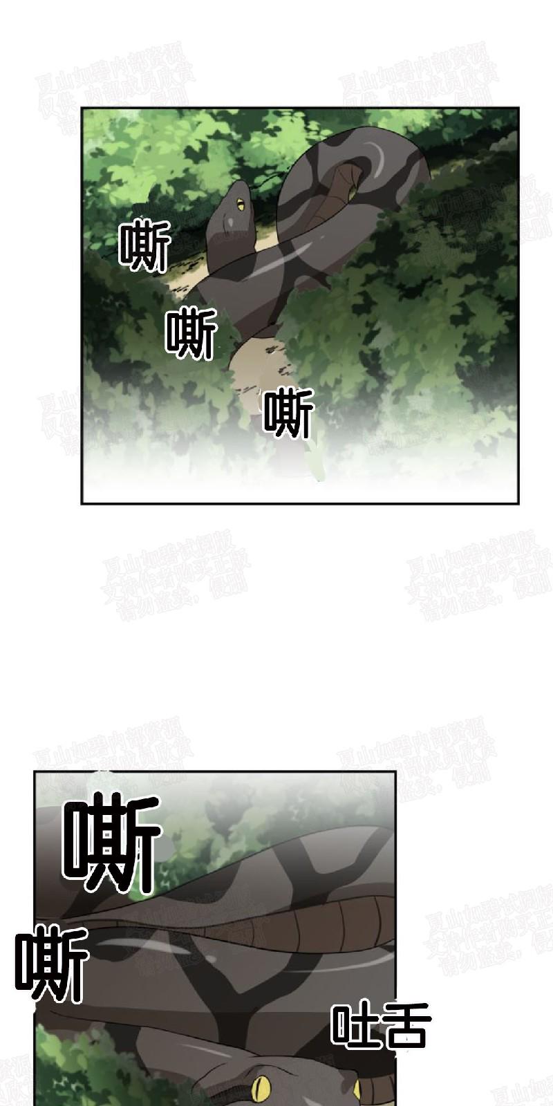 动物王国图片大全大图漫画,第13话1图