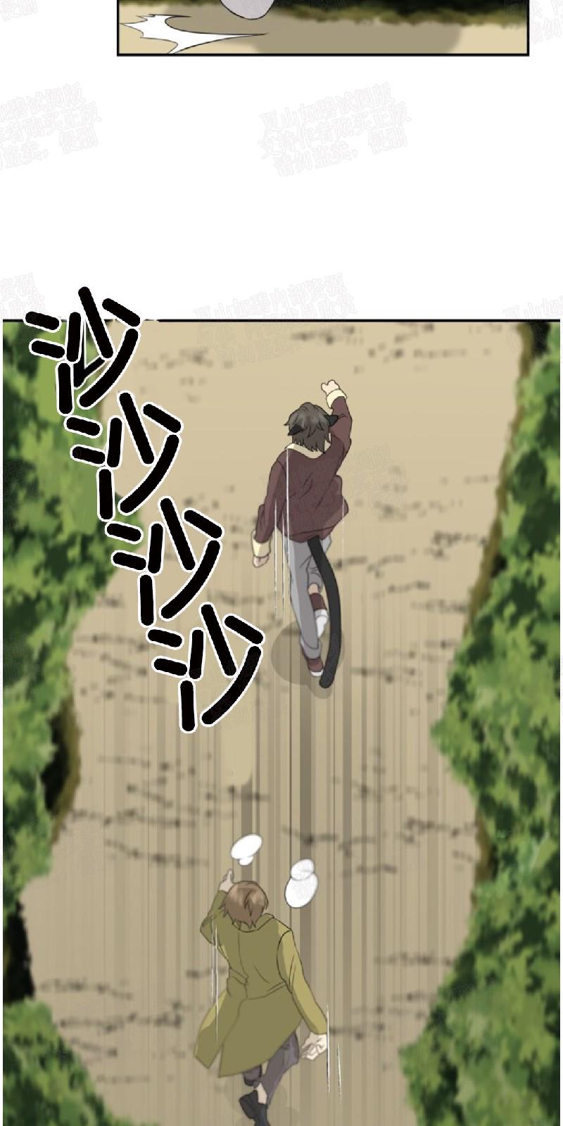 动物王国开派对三年级300字漫画,第14话2图
