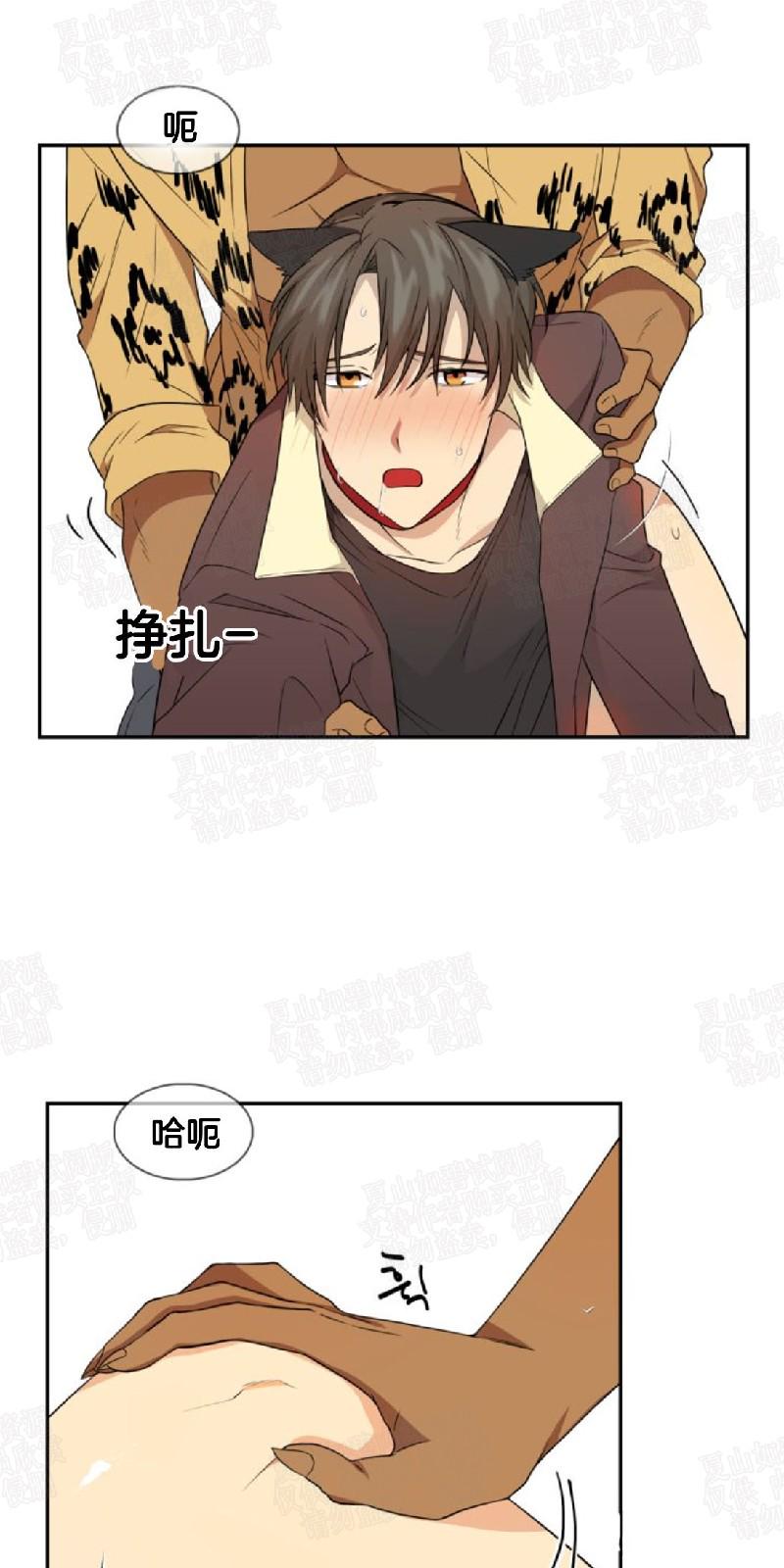 灵玲动物王国漫画,第2话5图