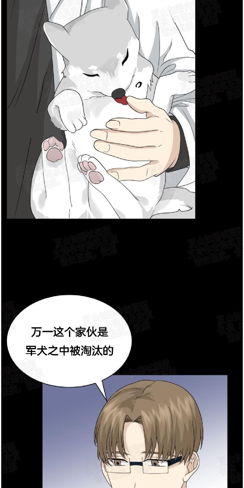 动物王国开大会ppt漫画,第20话5图