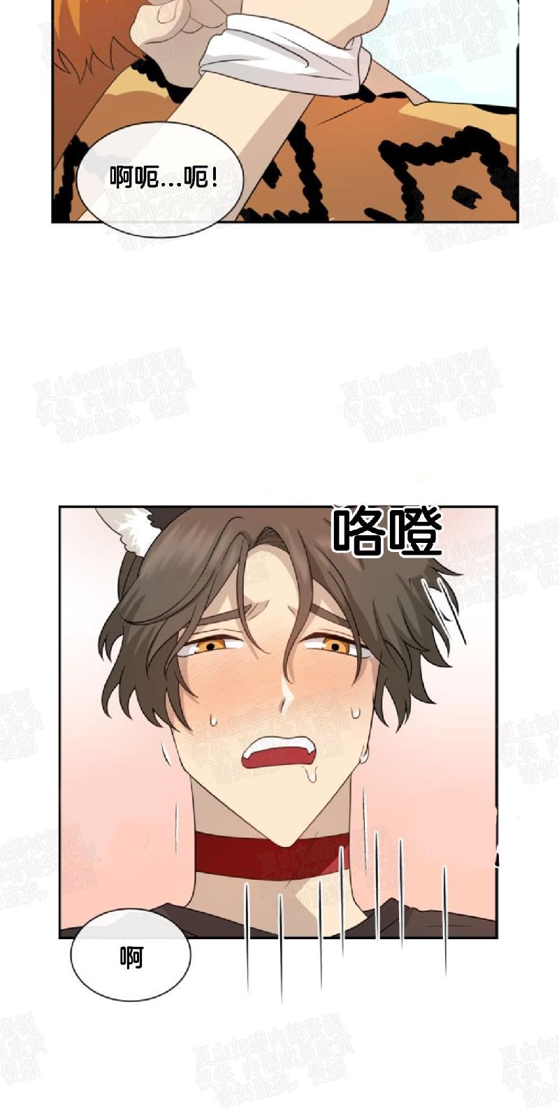 动物王国要开大会漫画,第19话5图
