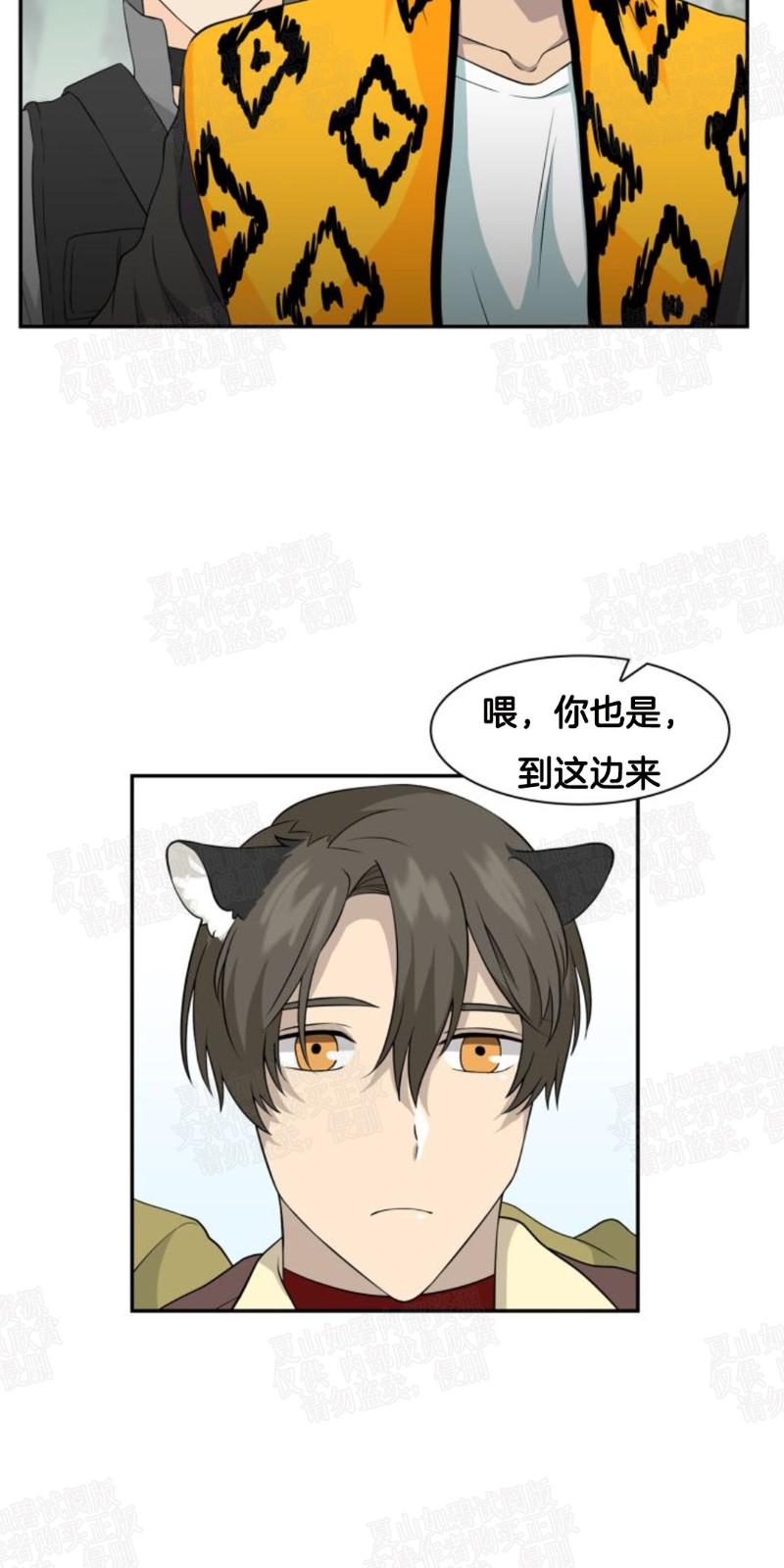 动物王国开大会的故事漫画,第9话3图