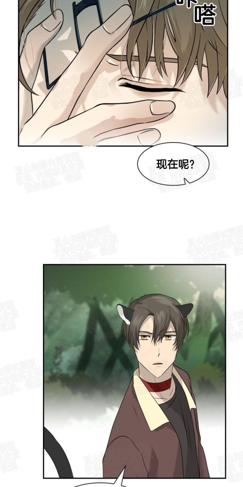 动物王国要开大会漫画,第10话5图