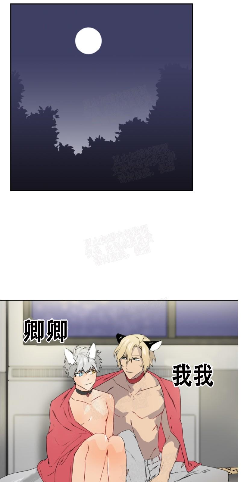 动物王国选美大赛作文300字漫画,第26话1图