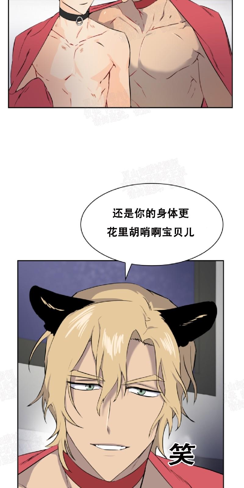 动物王国选美大赛作文300字漫画,第26话4图