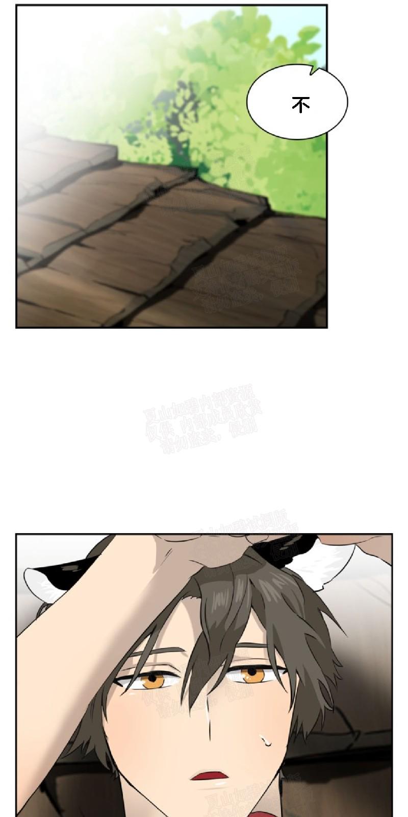 动物王国开大会小报漫画,第25话1图