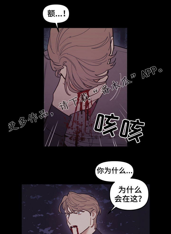 第102章：只有一个地方0